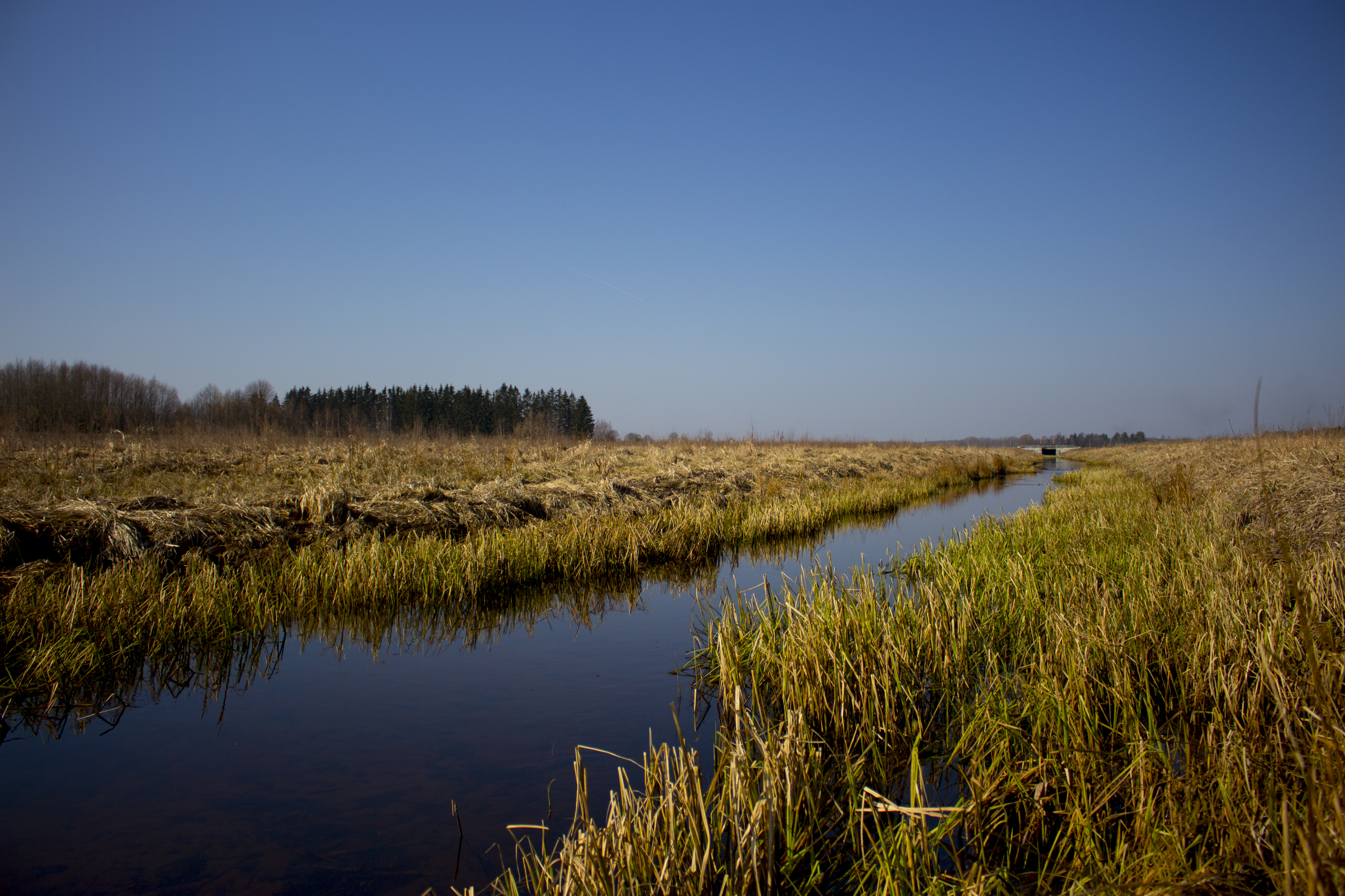 Small river