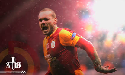 Sneijder 10N