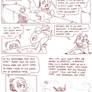 A Path To The Desert Page 12