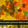 Autumn Leaves Brushes