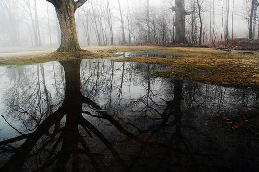 lifting fog