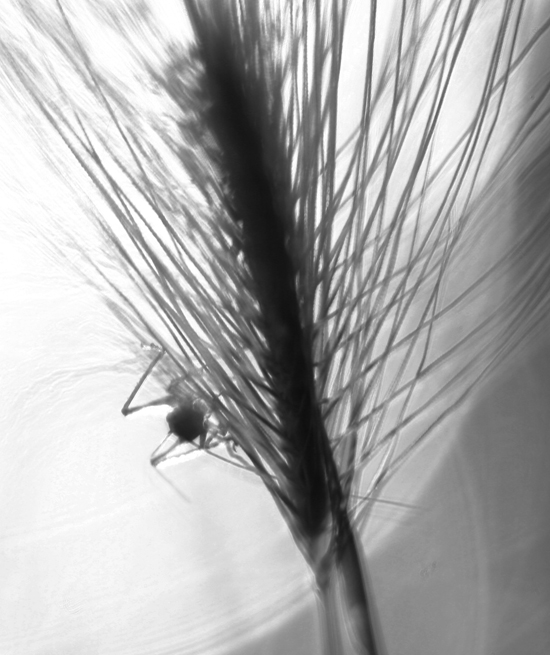 Don't run away by rightangle on DeviantArt