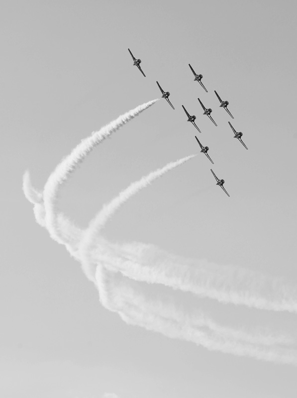 snowbirds