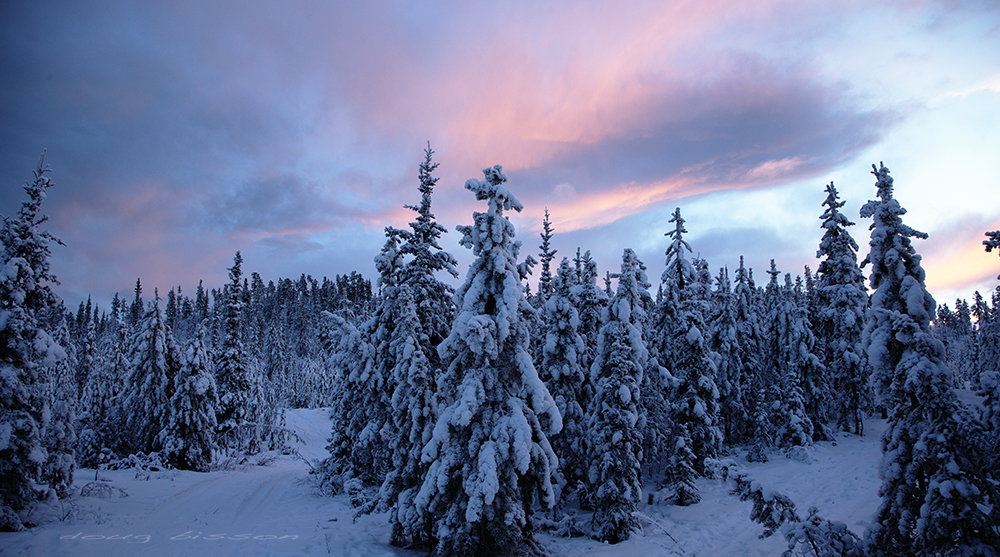 Scout Lake region, Yukon Territory