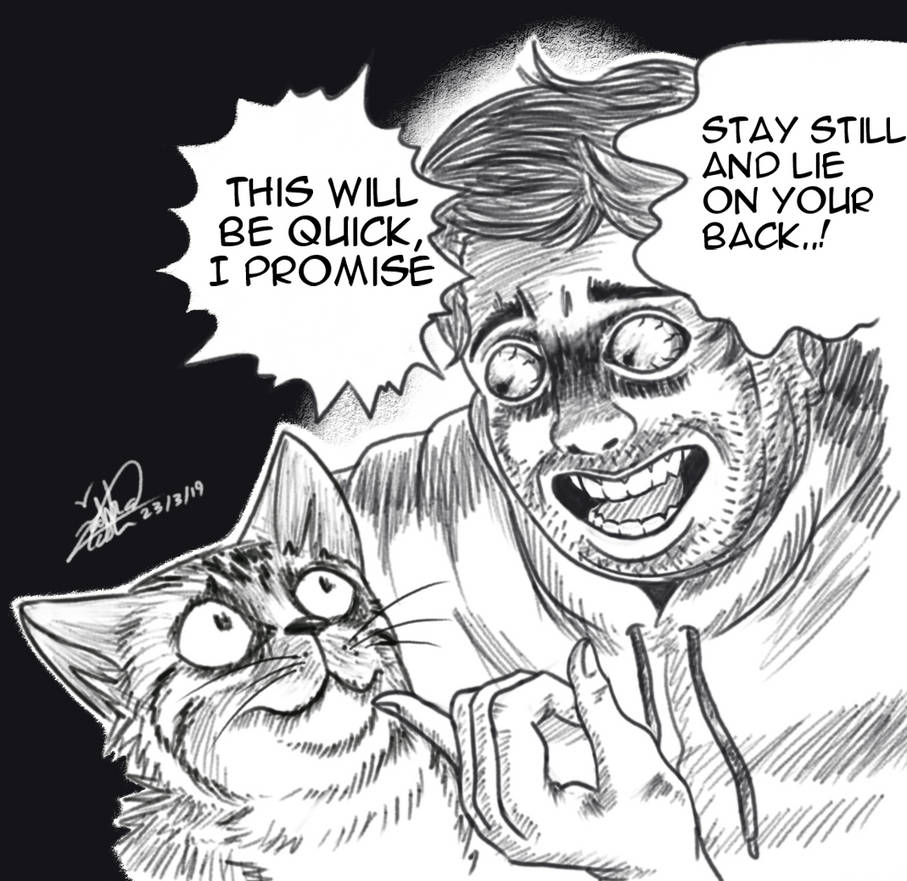 Shane Dawson ****ed his cat by SkiftyKitty on DeviantArt Shane Dawson ****ed his cat by SkiftyKitty on DeviantArt