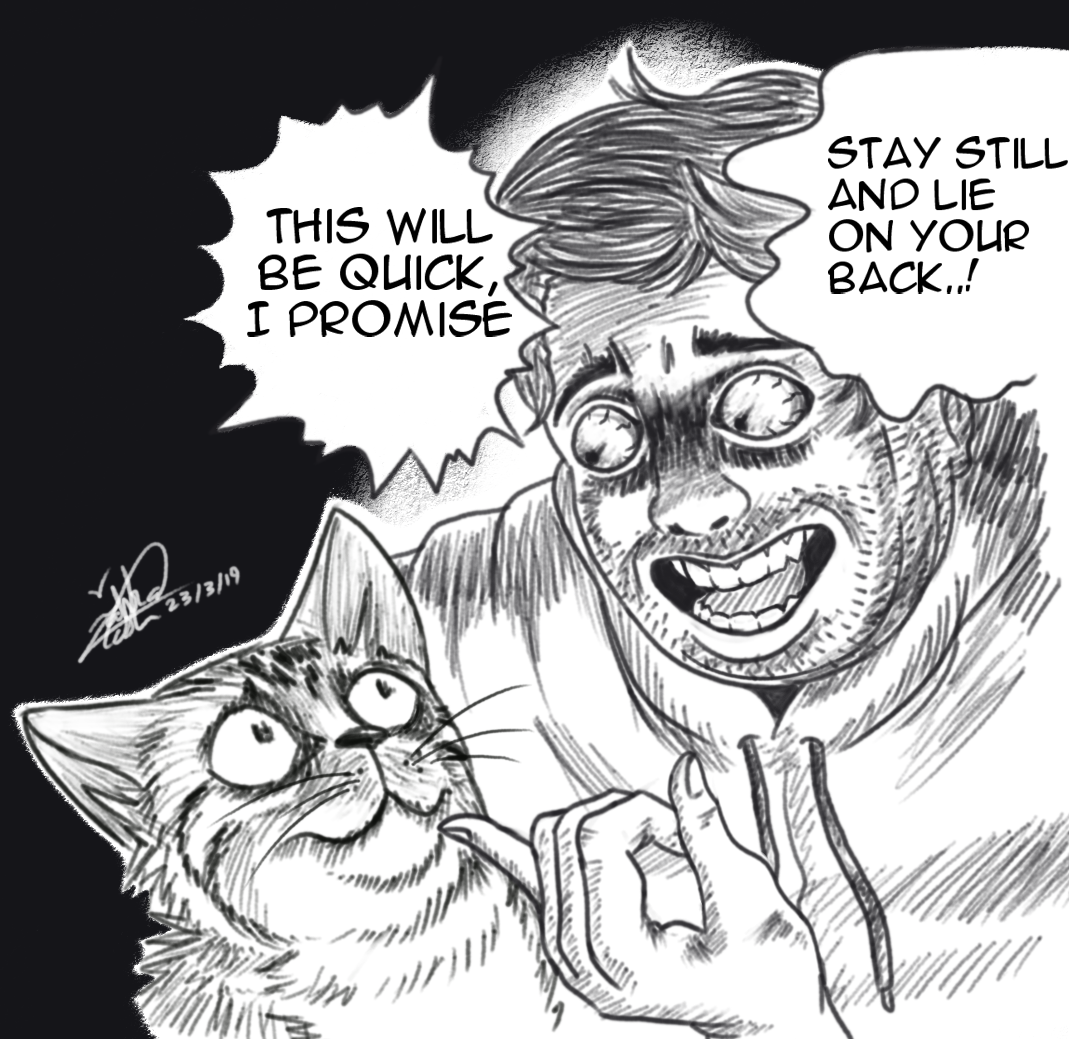 Shane Dawson ****ed his cat by SkiftyKitty on DeviantArt