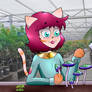 Umbo