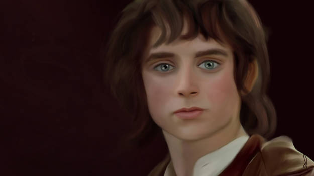 Frodo Baggins