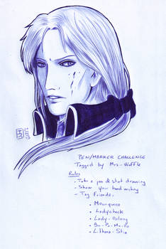 Pen and marker challenge: Emilien