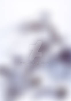 Day 31 Slice and goodbye