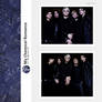 Photopack 28309 - My Chemical Romance