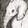 Elephant sketch