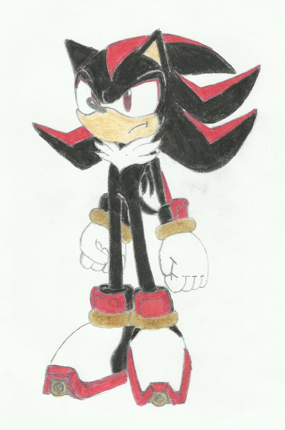 Shadow the Hedgehog