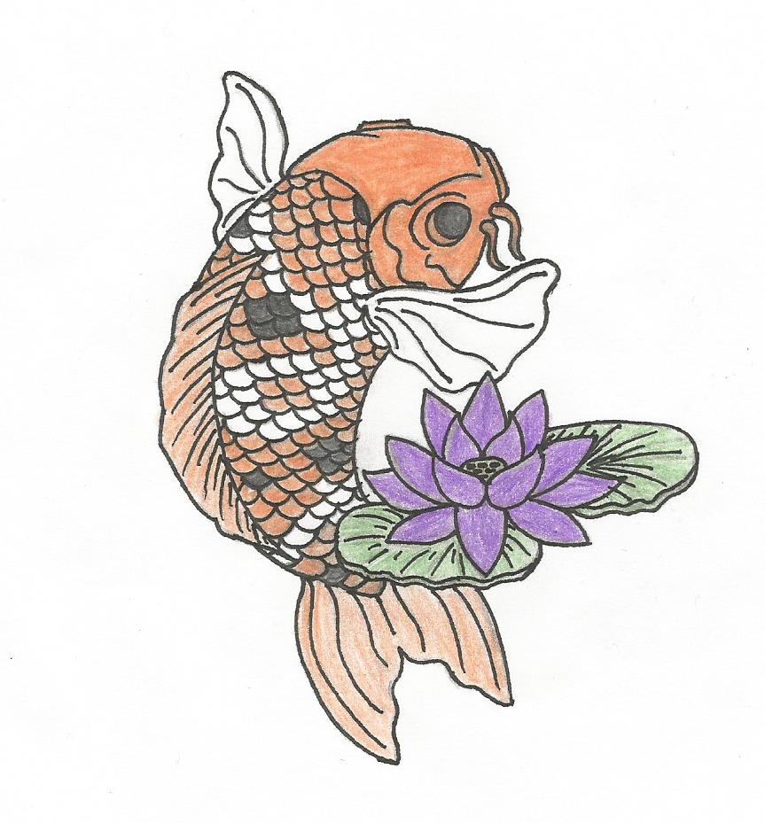 Koi Carp