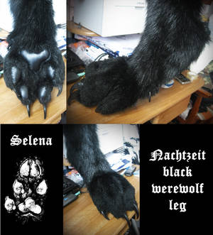 Black werewolf paw