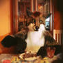 Dinner with a Mr. Fox