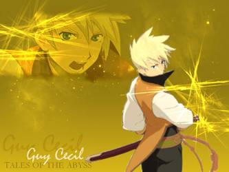 Guy Cecil background