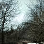 bike trail panoramic