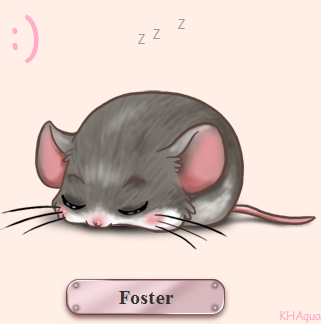 Foster El Ratoncito UvU