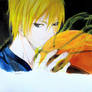 Kise magic