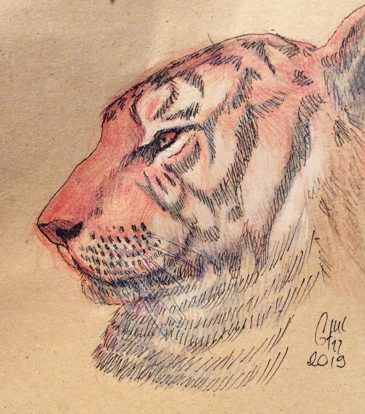 Orange paper 1