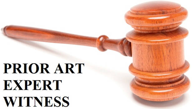 Prior Art Expert Witness