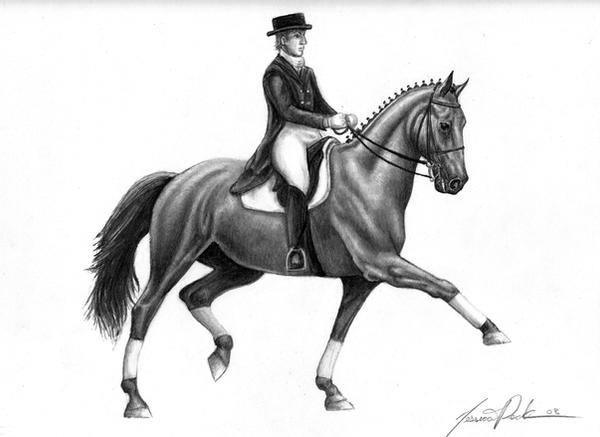 Dressage Horse Trotting