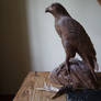 Woodcarver Eagle