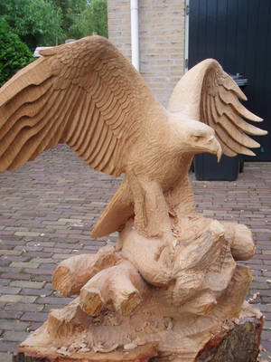 Eagle with fish in progress8 by woodcarve
