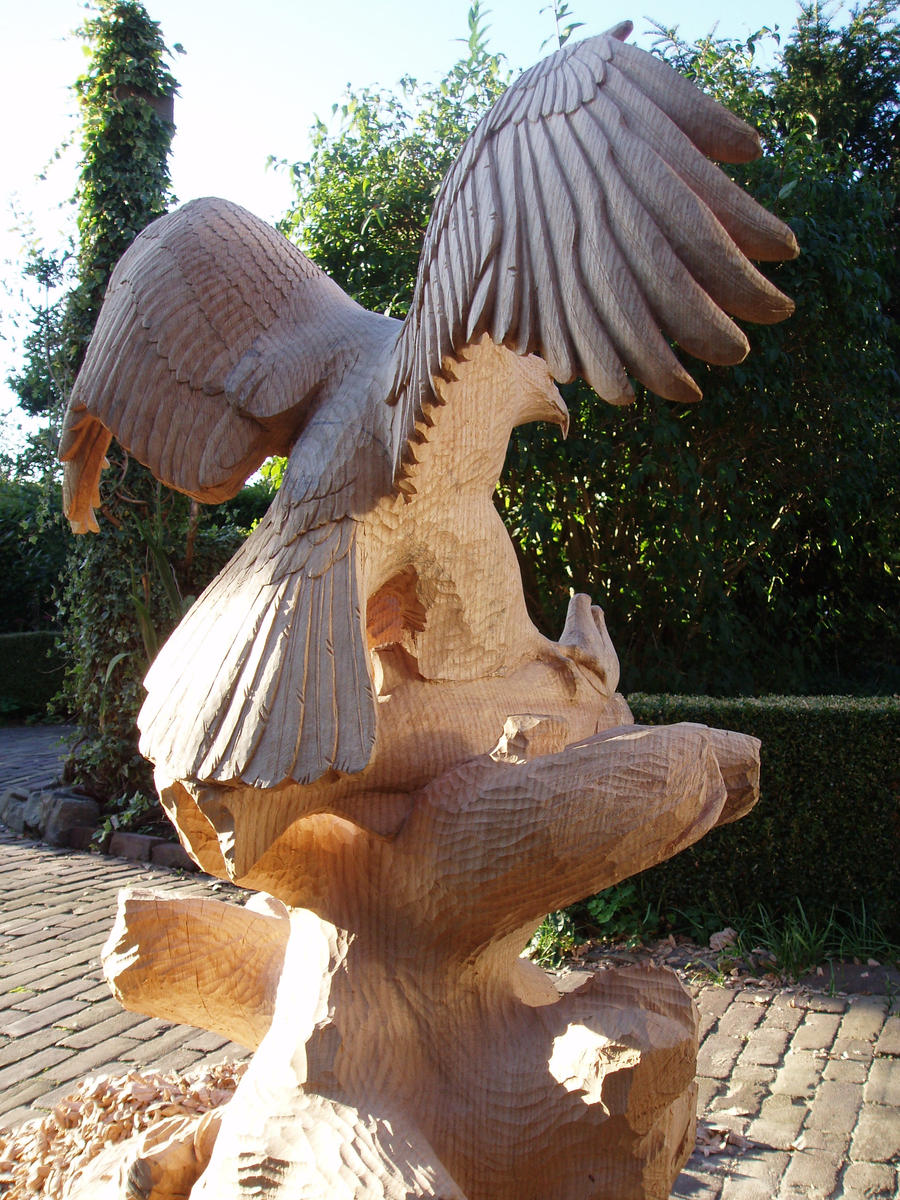 Woodcarver Eagle in progress10 back