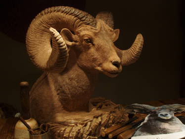 (houtsnijwerk) Bighorn sheep