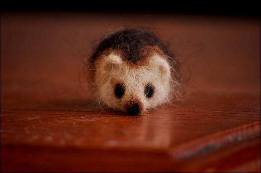 Felted Hedgie