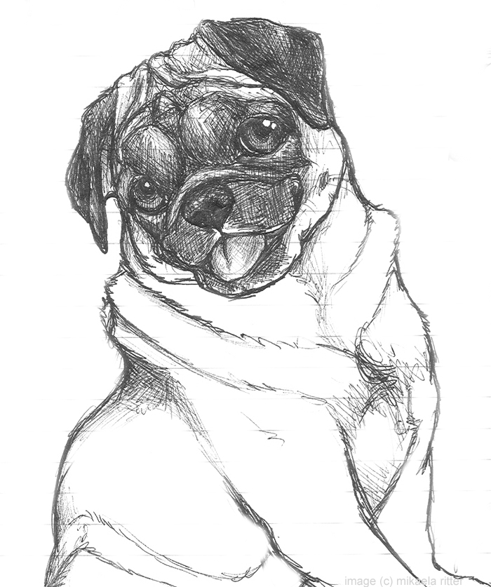 Cool Realistic Pug Line Drawing Art Gallery