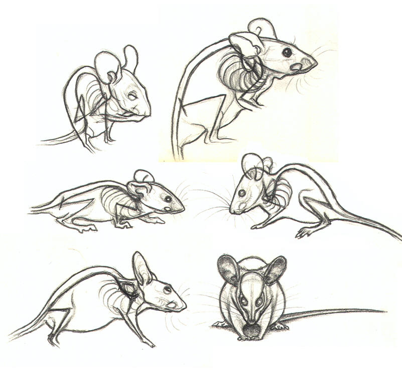 Движения мыши