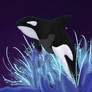 Live Long Orca's