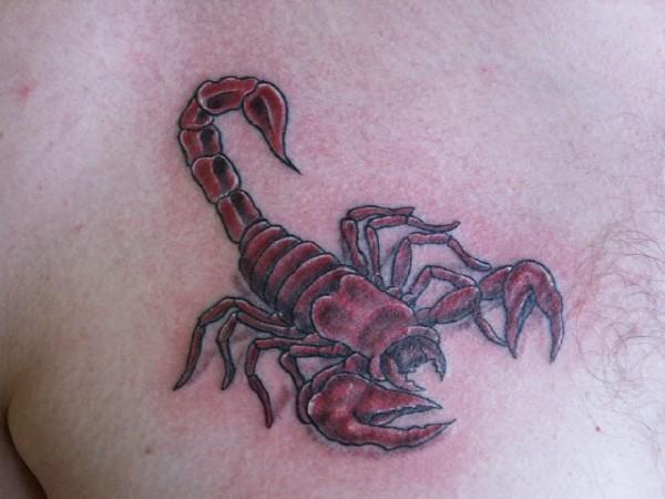 scorpion