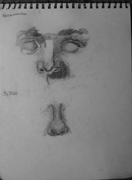 Portraiture Practice: Nose