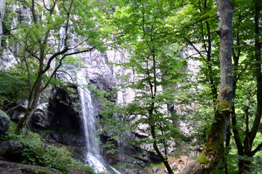 Waterfall between the trees