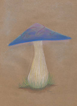 mushroom