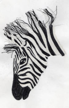 Thread Zebra