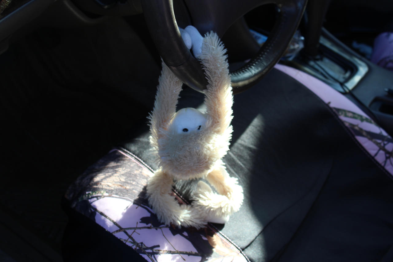 Monkey Wheel by CoffeeRogue on DeviantArt