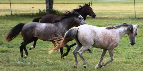 A family of three