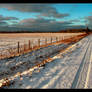 Fall Field and Snow BETTER