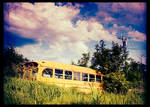 Nature Wins - Cross Process by akuba