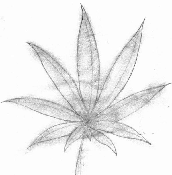 Mini Weed Drawing Reference Weeds by LiviaAnyaArt on DeviantArt