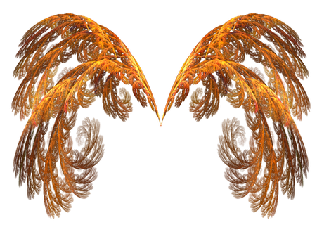 Wings of Fire PNG