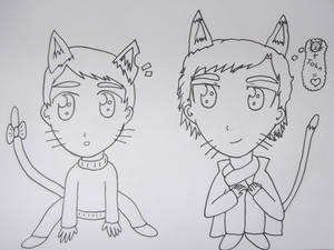 Sherlock and John kitty cats