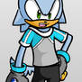 Sonic Delta: Swift the Wolf