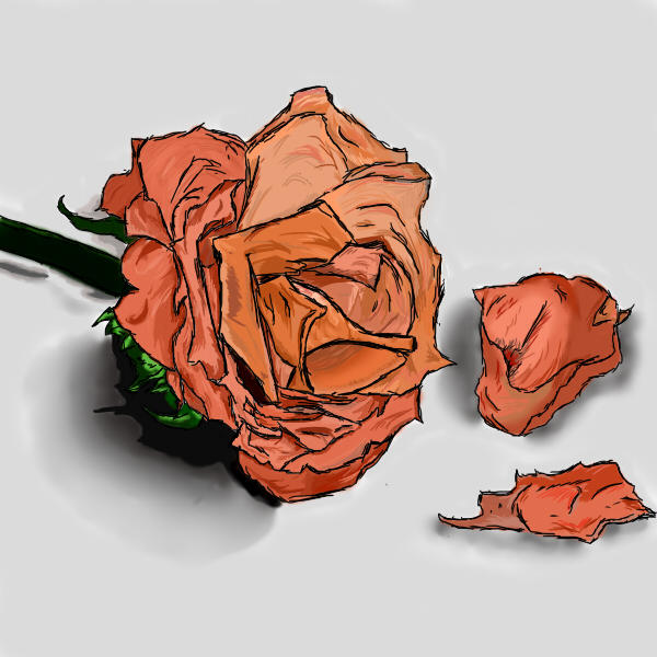 Basic Decaying Rose Decaying Rose by TheArtistThomas on DeviantArt