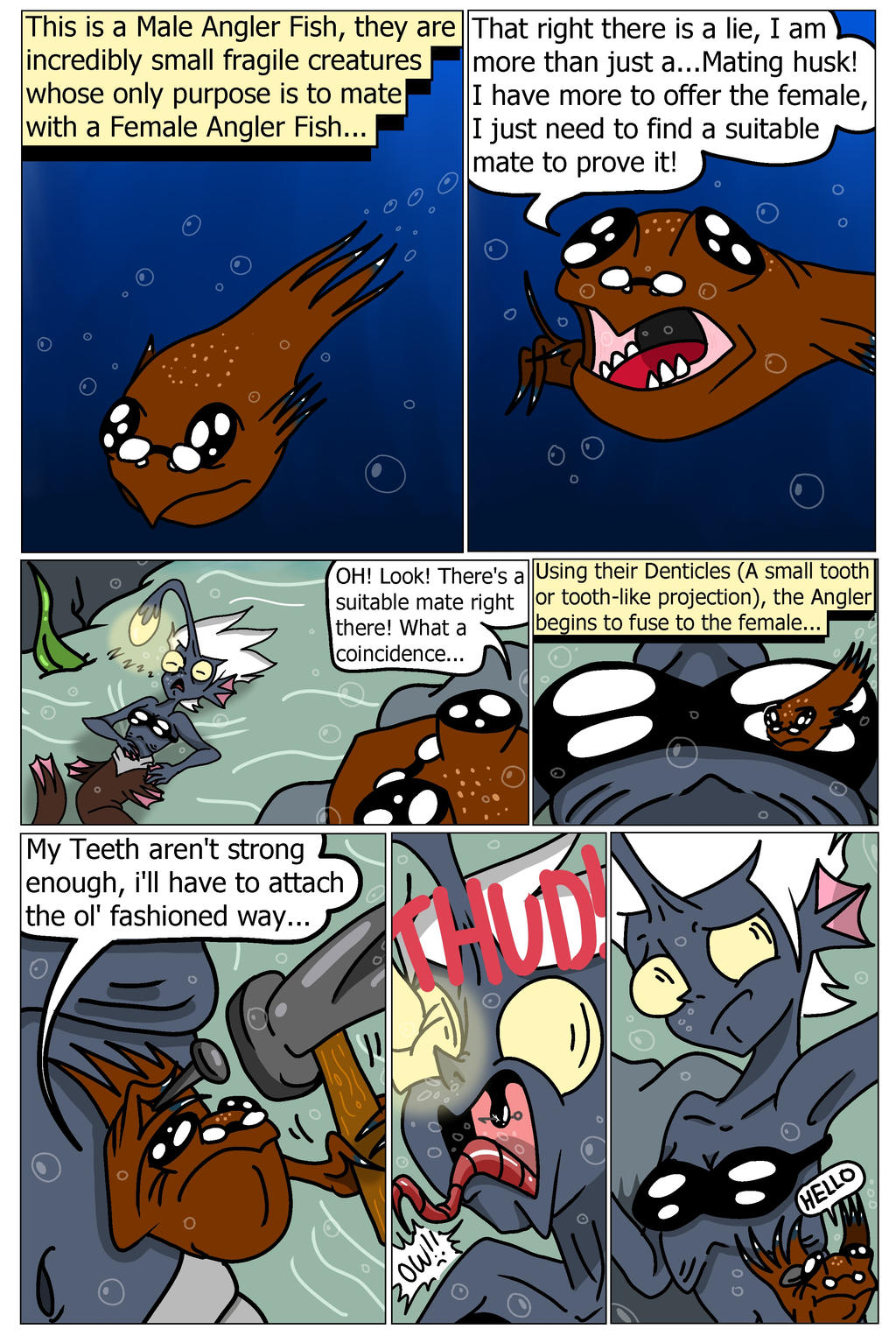 The Male Angler Fish 01 by JBCartoons on DeviantArt